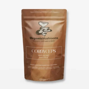 Cordyceps Capsules