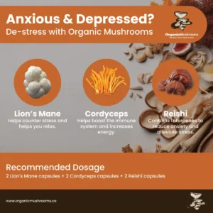 Depression & Anxiety Wellness Bundle