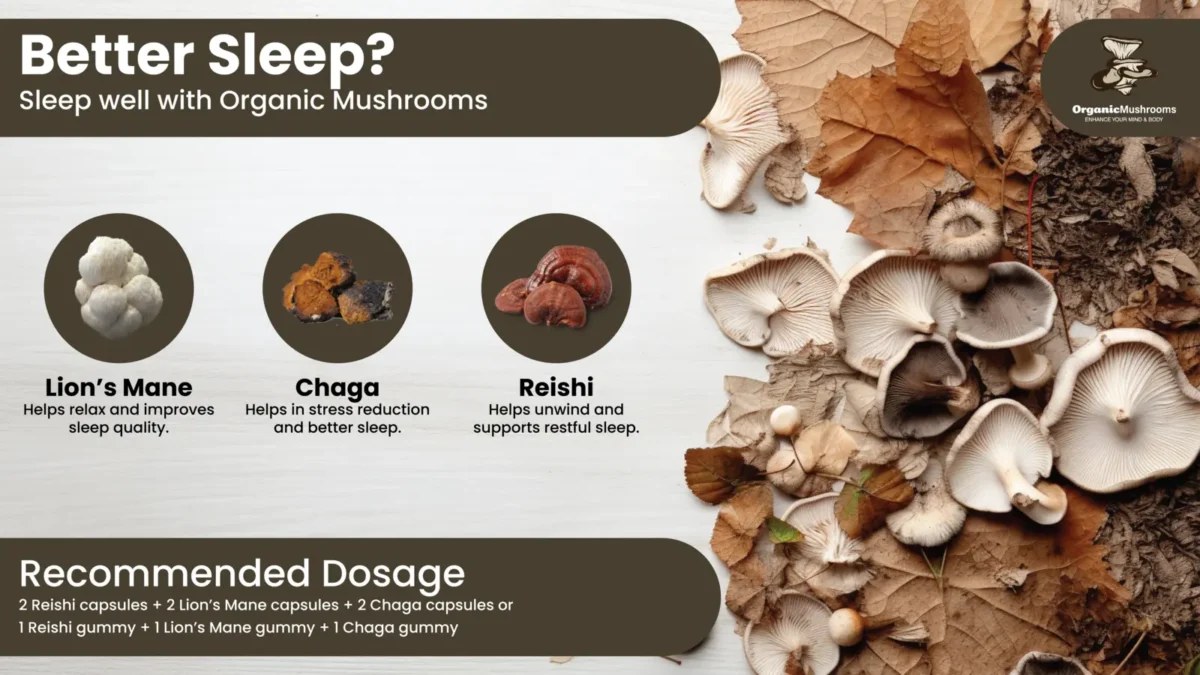 Sleep Well with our Sleep Aid Wellness Bundle