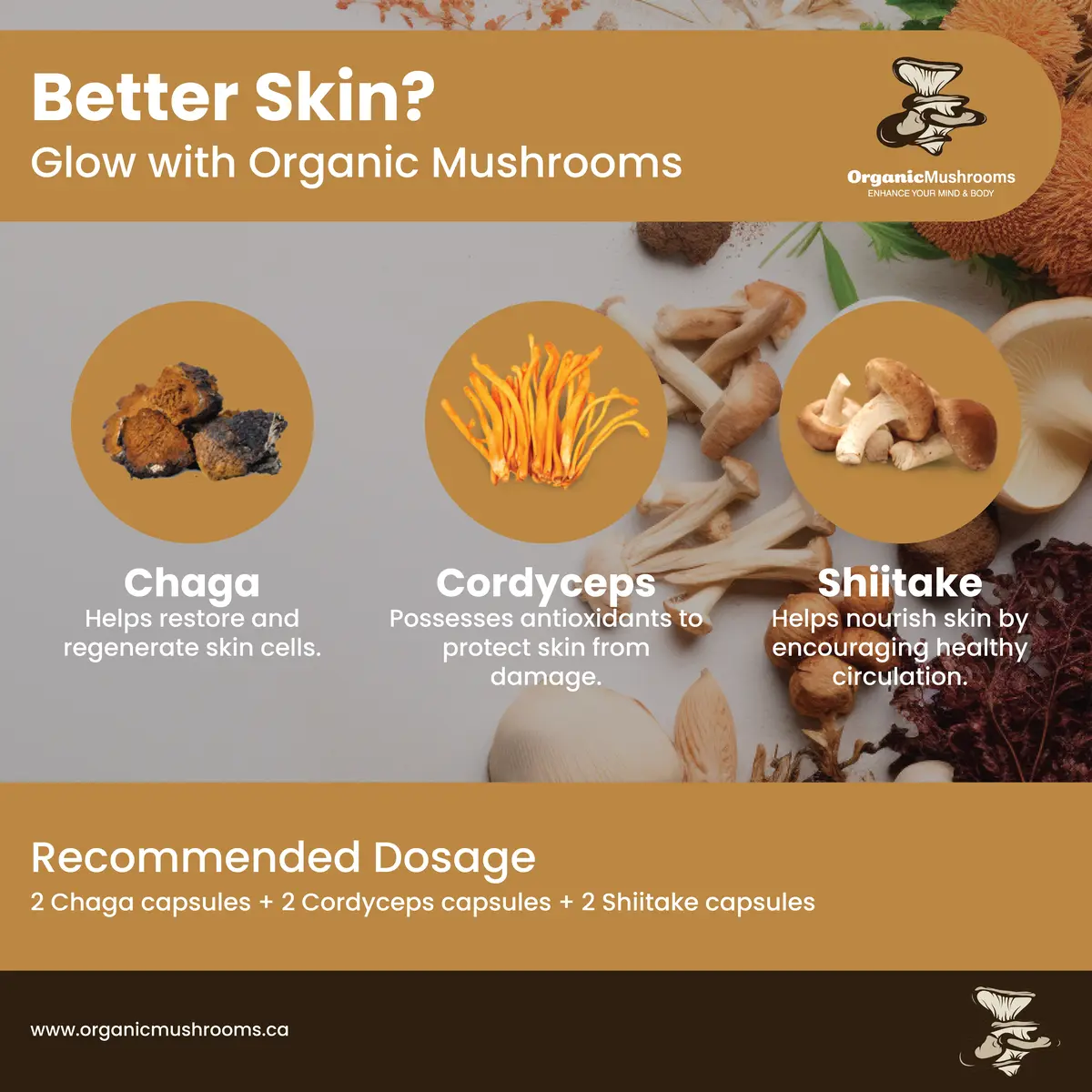 Skin Care Wellness Bundle