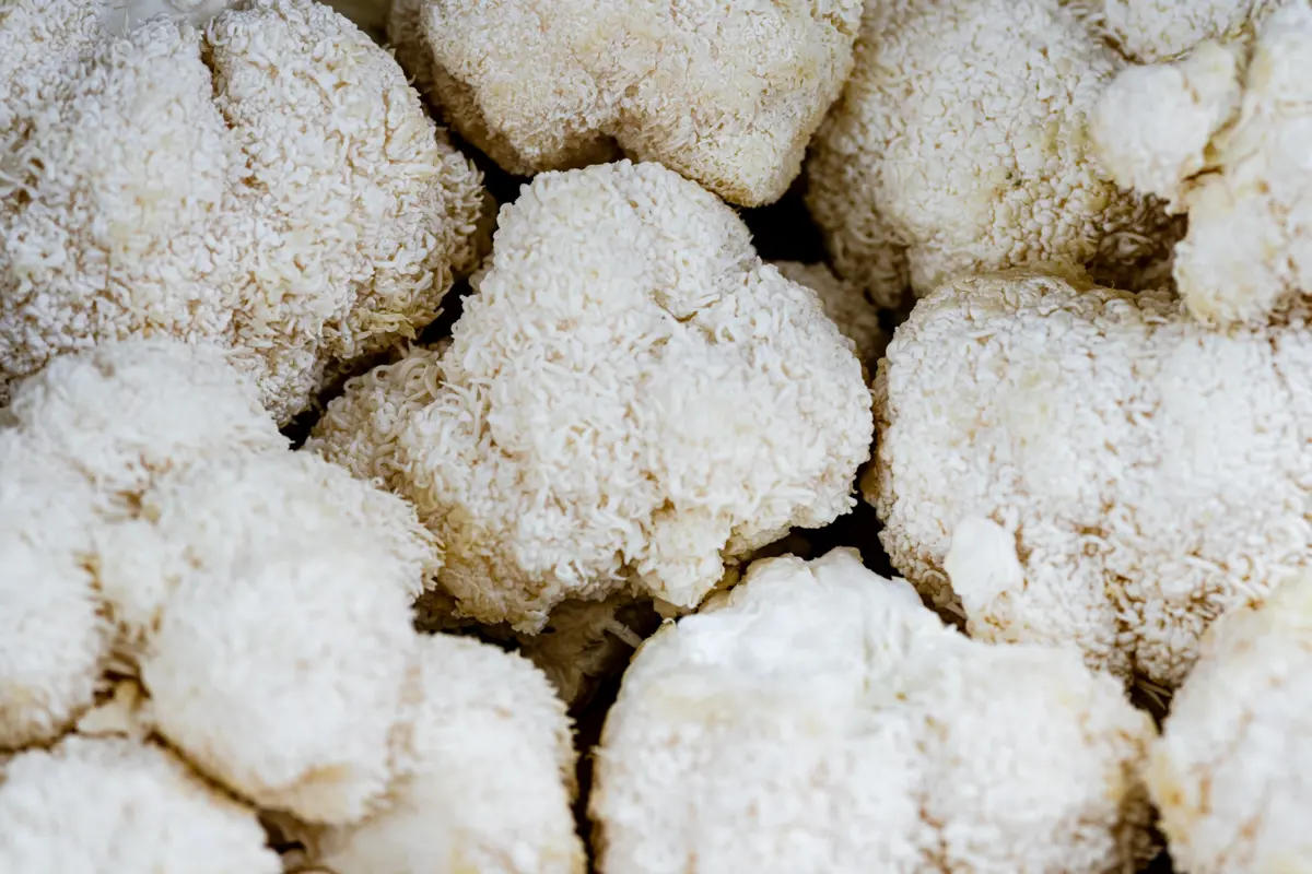 Why are Organic Mushrooms good for you