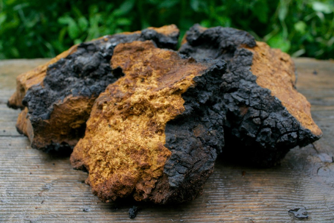 Functional mushrooms for better skin