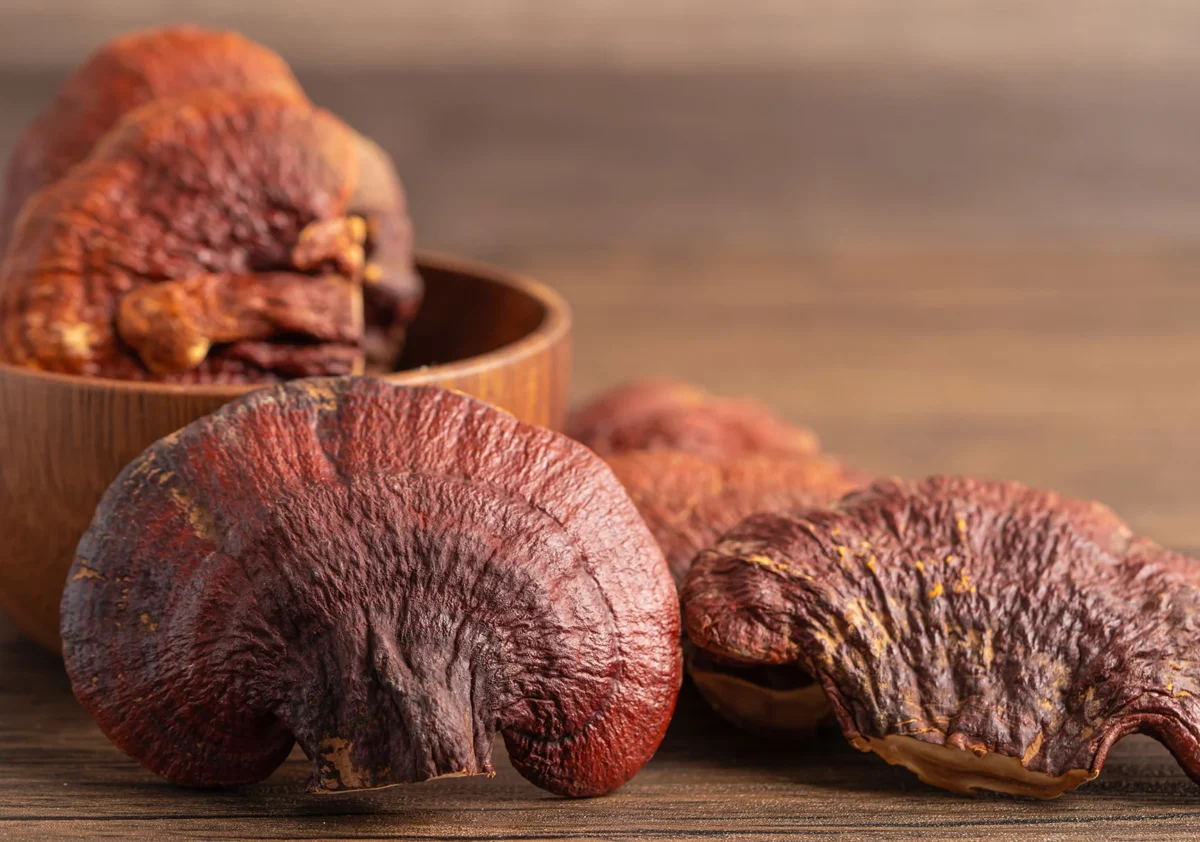 Comparing different types of functional mushrooms