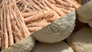 Ashwagandha vs. Lions Mane, Learn Their Key Differences.