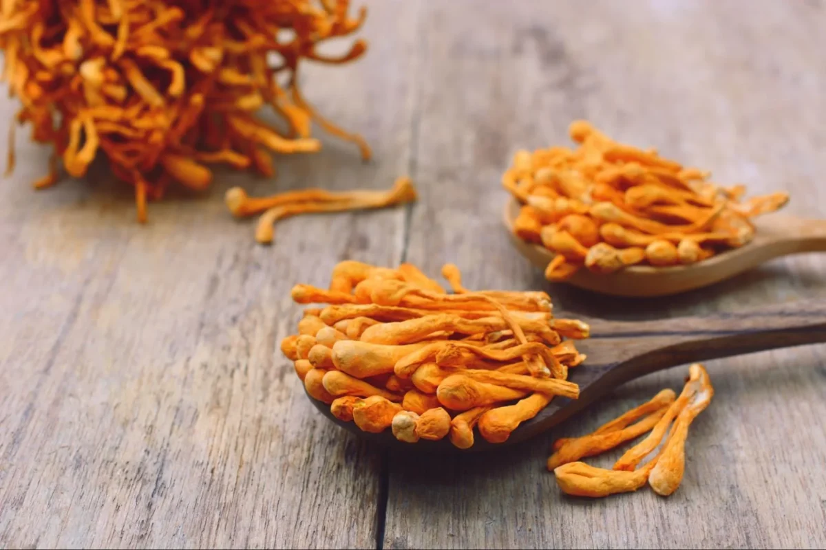 How Mushroom Supplementation Has Been Known to Benefit Athletes