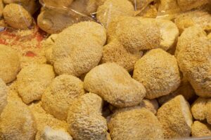 Can You Grow Your Own Functional Mushrooms?