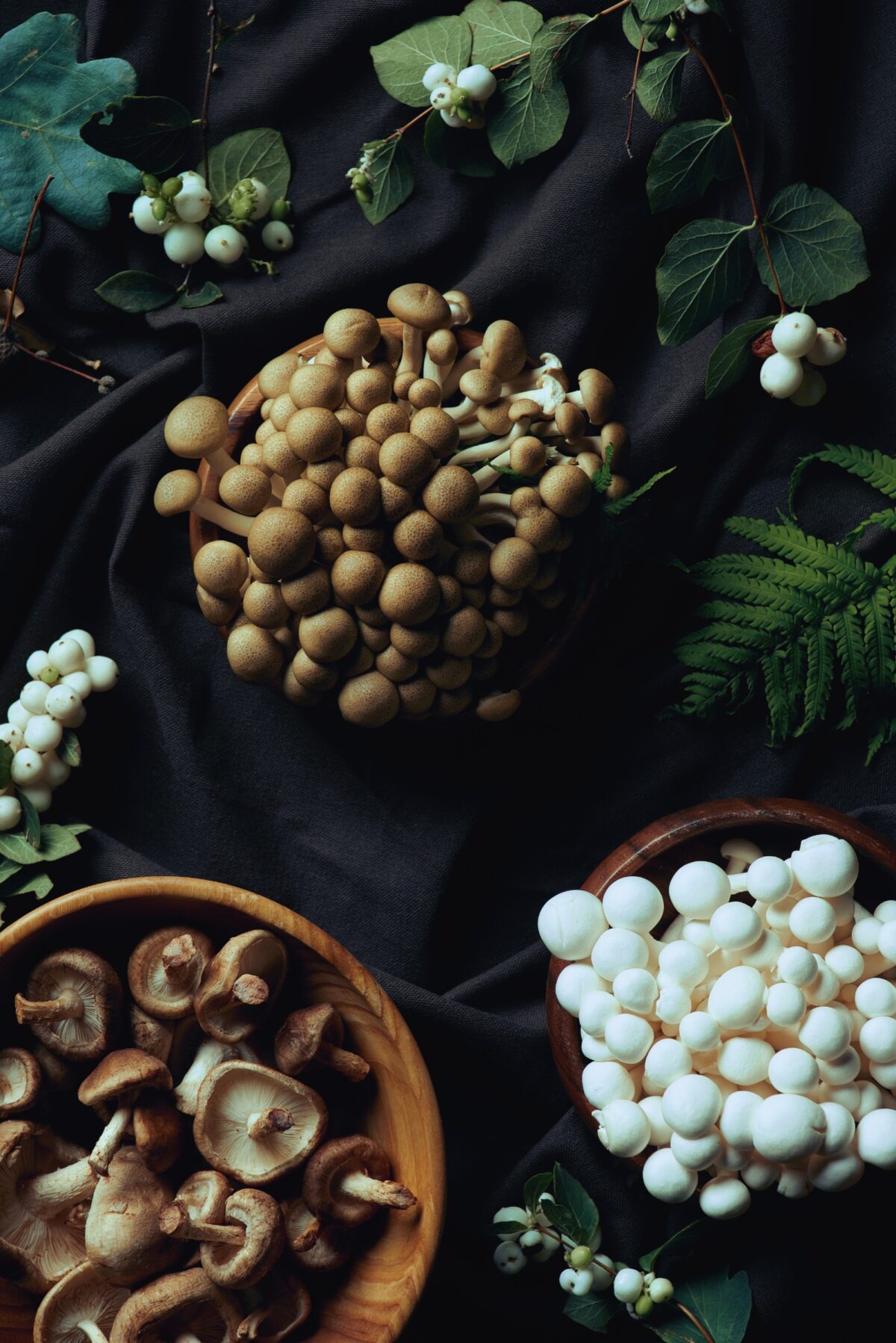 A Look at Our Metabolic Health Wellness Bundle