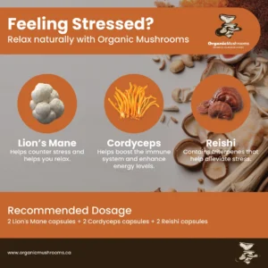 Relaxation Wellness Bundle